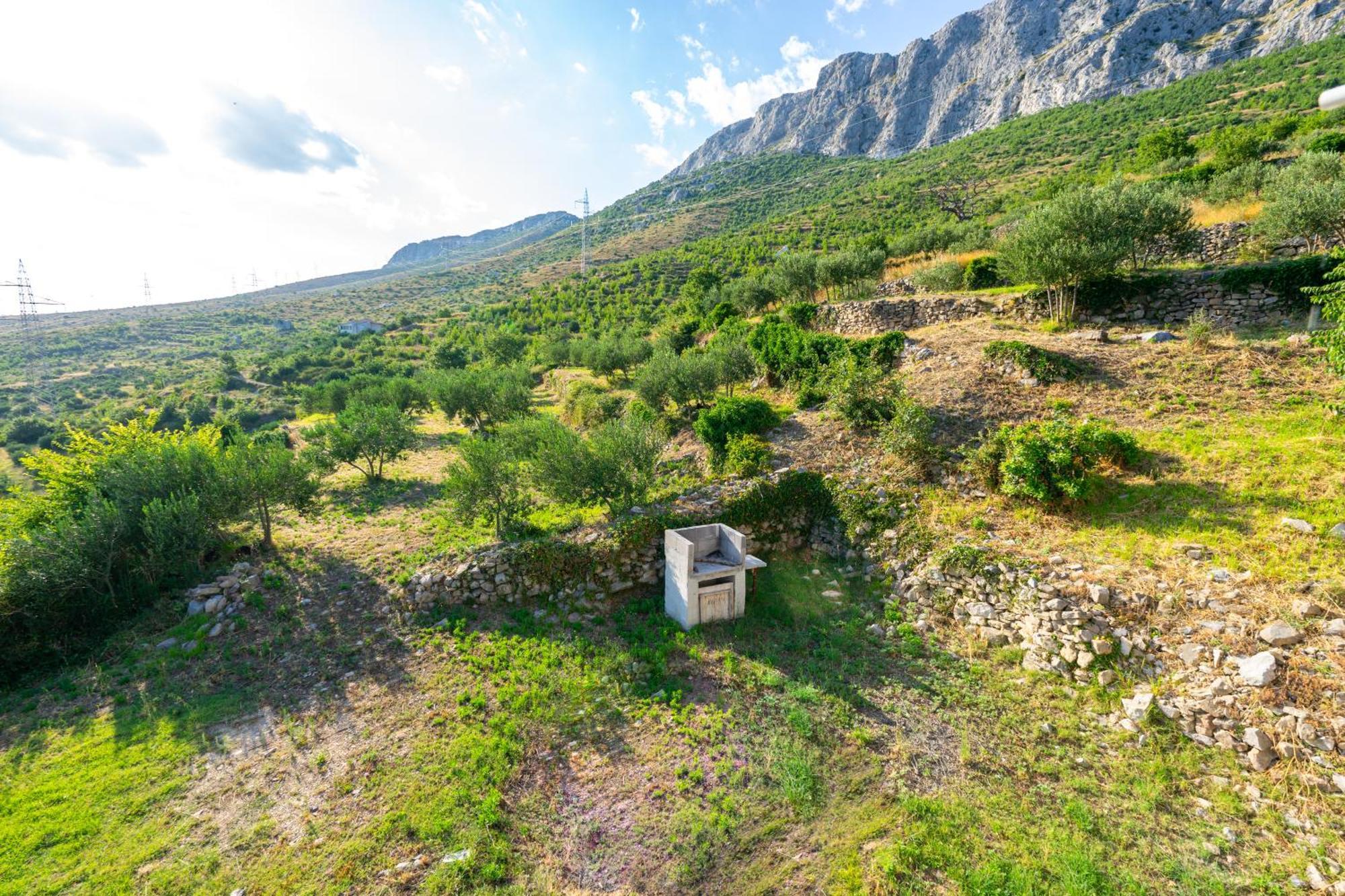Vila Olive Garden House In Zrnovnica With A View & Bbq Exteriér fotografie